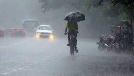 Canacona Records Highest Rainfall in Goa as Active Monsoon Batters State 1 Screenshot 2026 06 23 122948