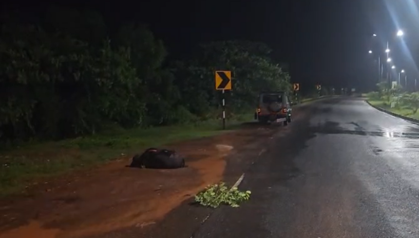 Buffalo Injured in Road Accident on Navelim–Nuvem Highway Rescued by Police and Animal Welfare Teams 1 Screenshot 2026 06 24 110736