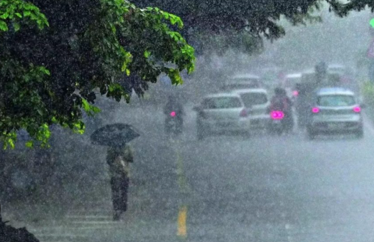 Goa Records 82% Above-Normal Rainfall in 24 Hours; IMD Forecasts More Heavy Showers Till June 30 1 Screenshot 2026 06 25 143750