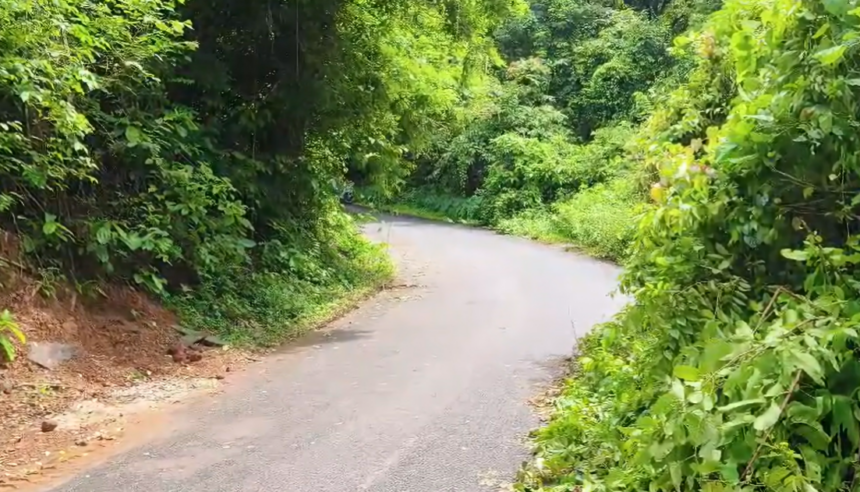 Overgrown Bushes on Kasti–Sanguem Road Raise Safety Concerns at Accident-Prone Bend 1 Screenshot 2026 06 26 121455