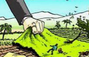 Prime Accused in Thivim Land-Grabbing and Forgery Case Granted Bail by Goa Court 1 Screenshot 2026 06 27 095053