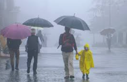Goa Receives Widespread Rainfall; Ponda Records Highest 24-Hour Rainfall of 60 mm 1 Screenshot 2026 06 27 145635