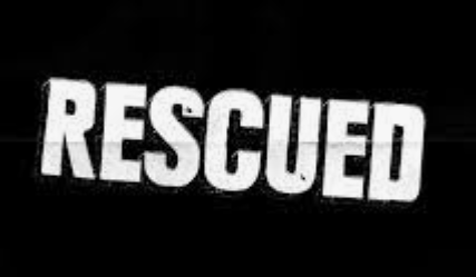Six Youths from Sakhali Rescued After Being Stranded Near Virdi Waterfall on Goa-Maharashtra Border 1 Screenshot 2026 06 29 105805