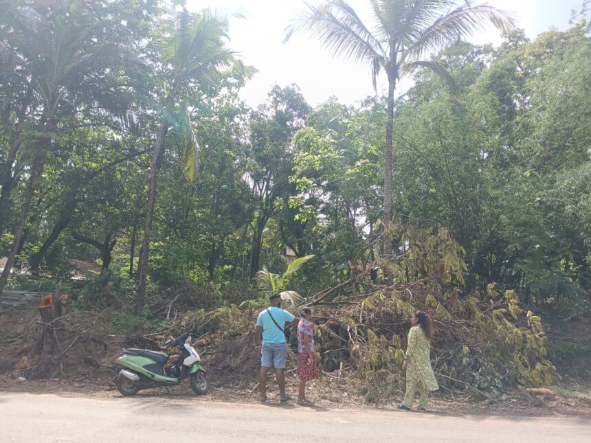 Activists Oppose Large-Scale Tree Felling at Kakumoddi, Curchorem 1 WhatsApp Image 2026 06 17 at 4.56.07 PM