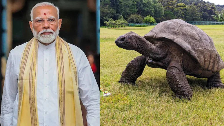 PM Modi to meet Jonathan the tortoise in Seychelles 1