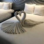the room service at my resort made two swans out of towels v0 oak95vot4xf11