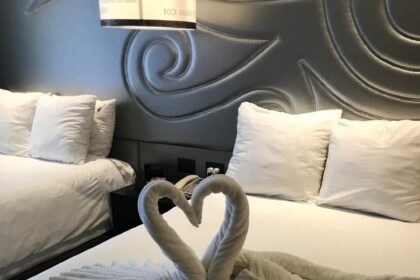 the room service at my resort made two swans out of towels v0 oak95vot4xf11