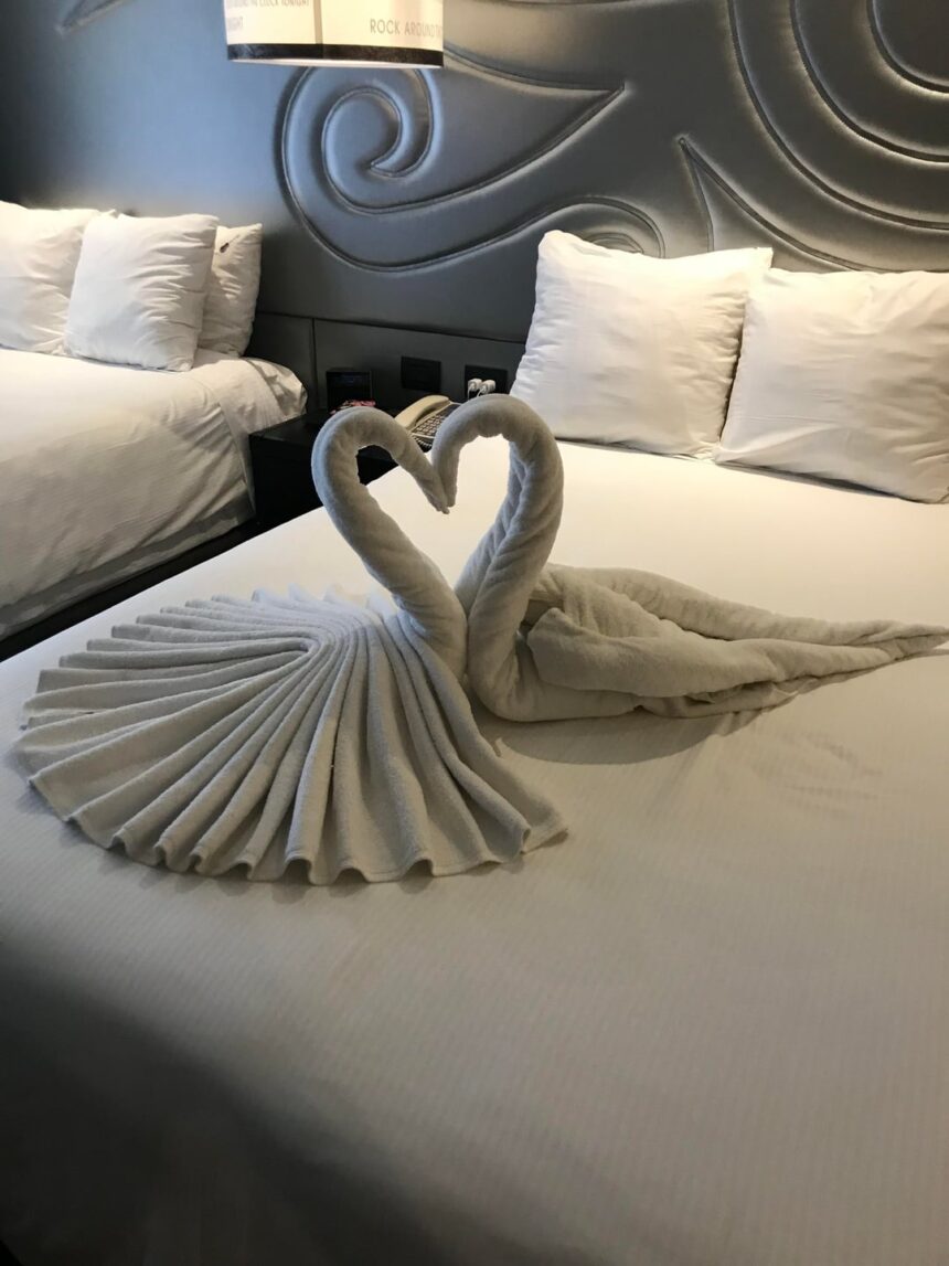 Why Hotels Secretly Fold Towels Into Swans? The Surprising Reason Revealed 1 the room service at my resort made two swans out of towels v0 oak95vot4xf11