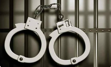 Goa Crime Branch Busts Suspected Human Trafficking Racket in Calangute, One Arrested and Woman Rescued 1 Screenshot 2026 07 02 143406