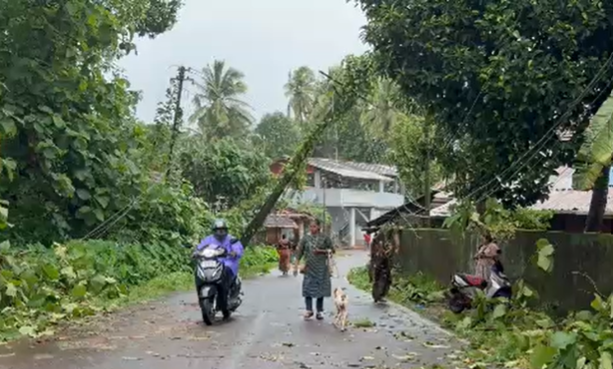 Tree Fall Damages Power Pole in Sanguem, Live Wires Pose Serious Risk to Commuters 1 Screenshot 2026 07 06 095825