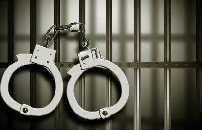 Australian National Arrested in Goa for Allegedly Overstaying with Invalid Visa 1 Screenshot 2026 07 06 103016