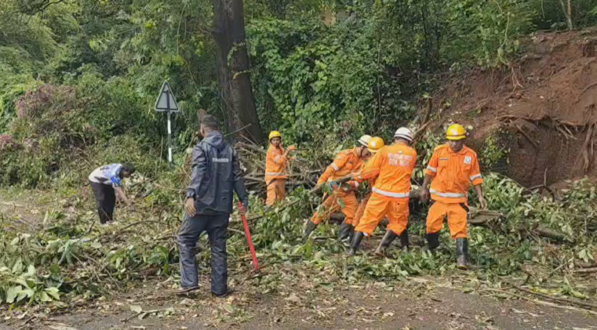62-Year-Old Vasco Man Killed After Roadside Tree Falls on Matve–Dabolim Road 1 Screenshot 2026 07 08 105815