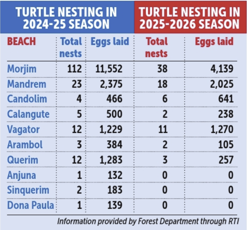 OLIVE RIDLEY NESTING DROPS BY OVER 50% IN NORTH GOA 2 Screenshot 2026 07 12 at 10.18.49 AM