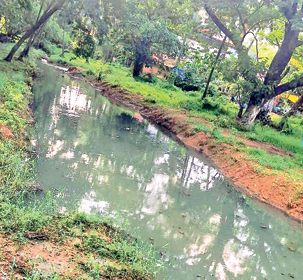 Screenshot 2026 07 16 085028