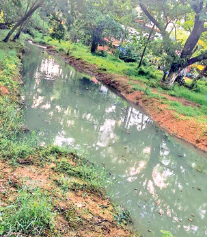 River Sal chokes despite crores spent on severage treatment 1 Screenshot 2026 07 16 085028