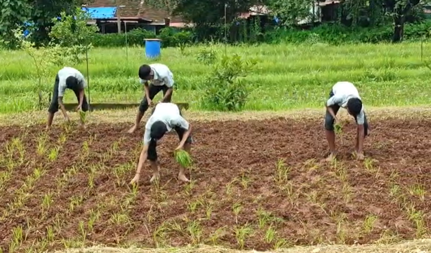 Verna Students Gain Hands-On Farming Experience at Paddy Plantation Drive in Arlem 1 Screenshot 2026 07 20 123723