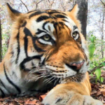 Screenshot 2026 07 29 090657