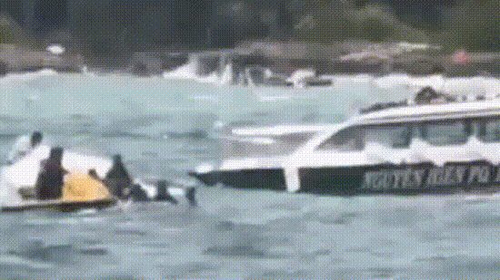 gif vietnam 1783763344182 1783763352457 7ae8ceeb 8d81 4e7b 942a 57c47f89e7ae