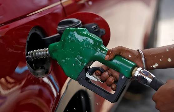 No Evidence E20 Fuel Damages Engines, Government Tells Lok Sabha 1 images 4 25