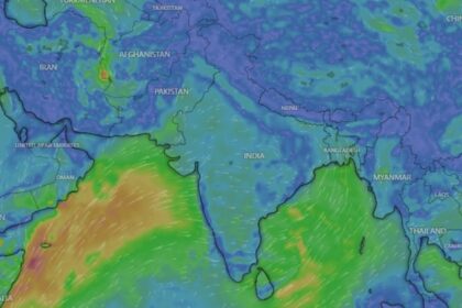 windy rainfall map
