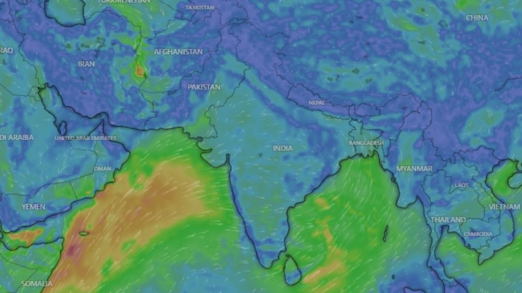 windy rainfall map