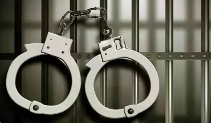 Two Arrested for Allegedly Organising Illegal Bullfight in Navelim 1 Screenshot 2026 08 01 101953