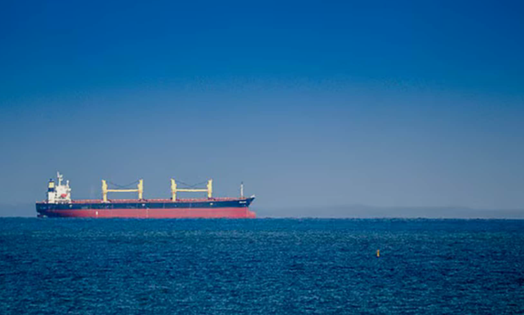 13 Indian Sailors Rescued After India-Flagged Cargo Vessel Sinks in Red Sea Following Attack 1 Screenshot 2026 08 05 092705