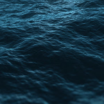 Screenshot 2026 08 11 110345