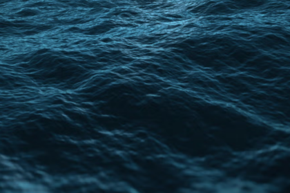 Screenshot 2026 08 11 110345