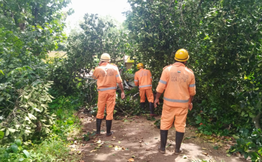 Jackfruit Tree Falls on Power Pole in Tambose, Fire Brigade Clears Road 1 Screenshot 2026 08 20 152720