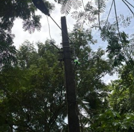 Streetlight Repairs, Tree Trimming Bring Relief to Residents After Prolonged Complaints 1 Screenshot 2026 08 29 113324