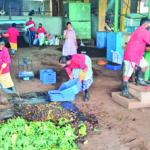 Waste segregators convert wet waste into organic manure at Bircholim waste segregation facility
