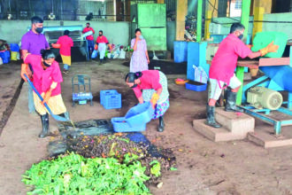 Waste segregators convert wet waste into organic manure at Bircholim waste segregation facility