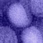 h1n1 influenza virus e1635356243140