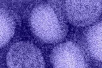 h1n1 influenza virus e1635356243140