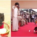 sniffer dog rocky welcomes tamil nadu cm vijay with flowers at police medal ceremony 01521615 16x9 0