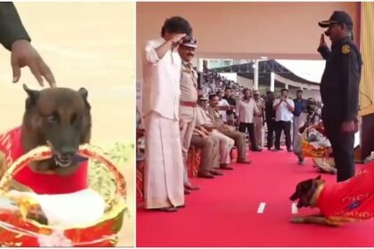 sniffer dog rocky welcomes tamil nadu cm vijay with flowers at police medal ceremony 01521615 16x9 0