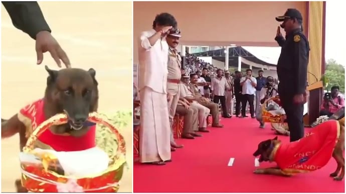 sniffer dog rocky welcomes tamil nadu cm vijay with flowers at police medal ceremony 01521615