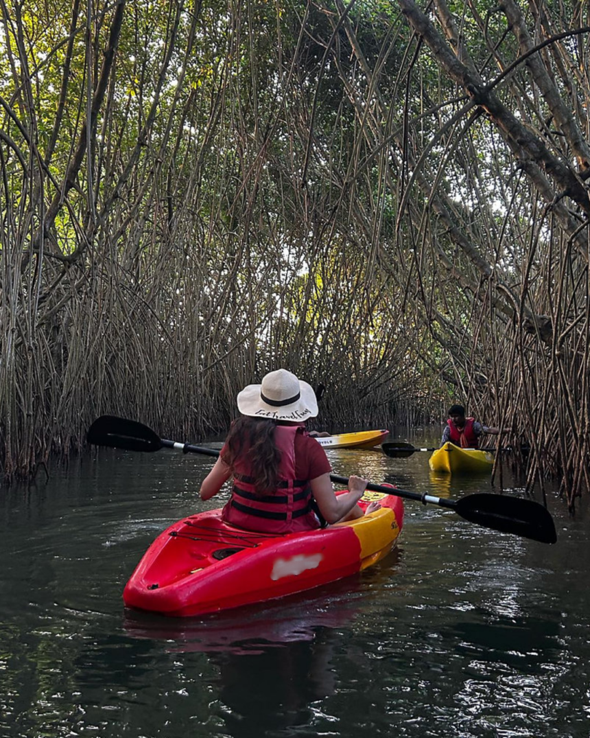 Hinterland Kayaking Points In Goa To Be Demarcated, Regulated After HC Intervention 1 45 TEMPLATE 2026 09 27T142909.634