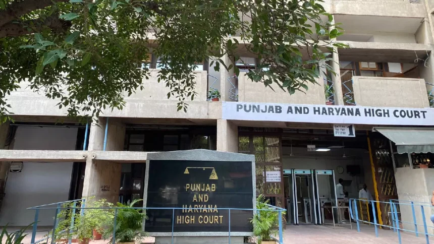 Punjab & Haryana HC Rules in Favor of Tenant Over NRI Landlord's Eviction Plea 1 601907 punjab haryana hc