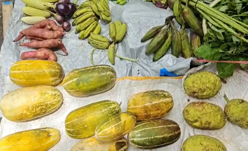 Rural Women Sustain 40-Year Tradition of Selling Homegrown Vegetables in Margao 1 Screenshot 2026 09 01 152152