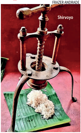 The coconut at the heart of Goan cuisine during SHRAVAN 1 Screenshot 2026 09 02 085743
