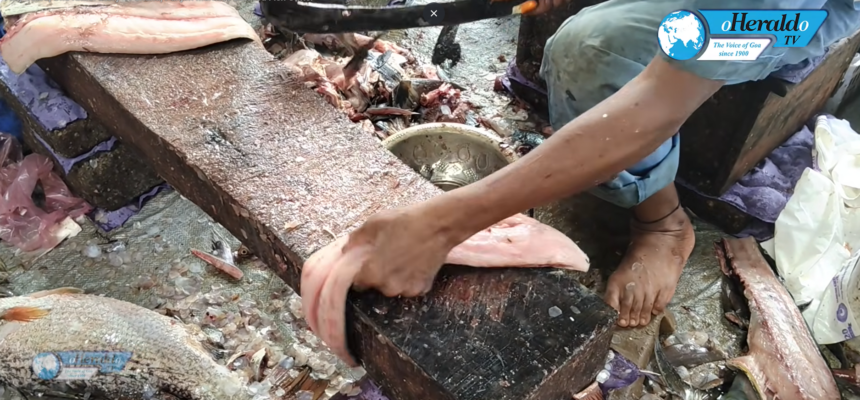 Fifty Years, One Knife: Story Of Shanu, Panjim Market’s Beloved Fish Cutter 1 Screenshot 2026 09 04 210943