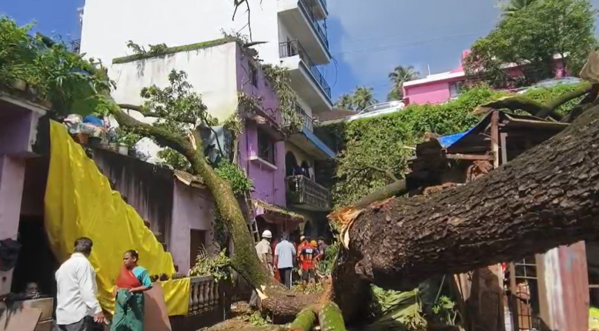 Huge Tree Collapses on Houses at Desterro, Causes Heavy Damage 1 Screenshot 2026 09 08 112830