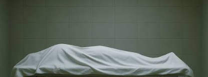 Decomposed Body of Unidentified Man Found at Pernem Crematorium 1 Screenshot 2026 09 16 095531