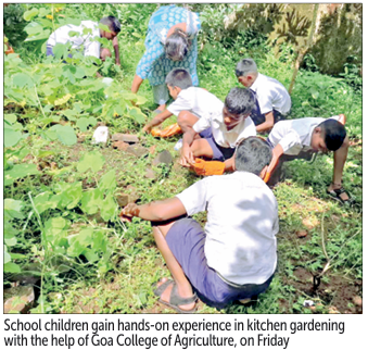 30 Goa schools embrace hydroponics, kitchen gardening 1 Screenshot 2026 09 19 082749