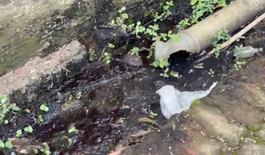 Sanguem Fish Market Faces Sanitation Woes as Vendors Seek Urgent Action 1 Screenshot 2026 09 21 155311