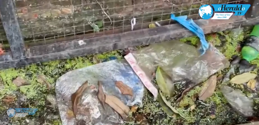 Vendors Demand Urgent Action as Sanguem Fish Market faces Sanitation Crisis 1 Screenshot 2026 09 21 221109
