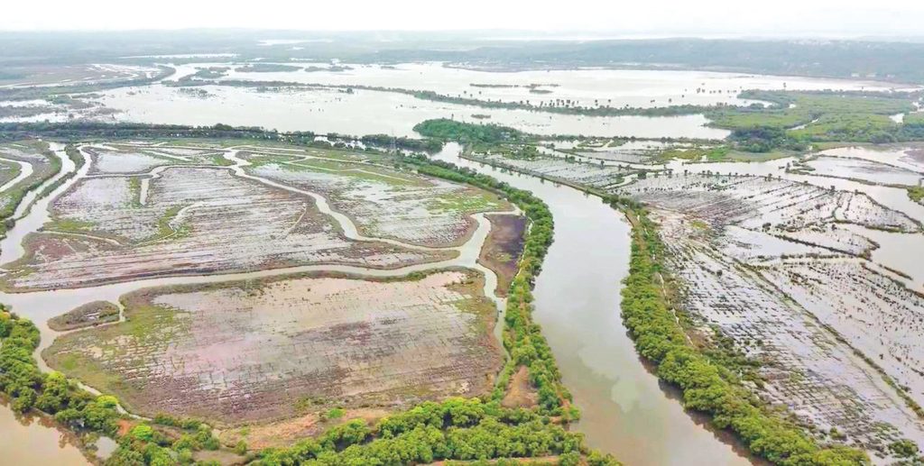 What the river gives