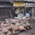 maharashtra fda seizes adulterated food worth over rs 1 36 cr suspends 12 licences after statewide festive crackdown